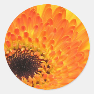 黄色のガーベラシール ラウンドシール