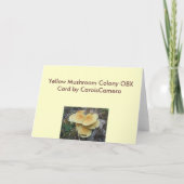 黄色のキノココロニーOBXノートカード シーズンカード (裏面)