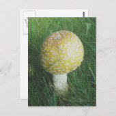 黄色のキノコ#4 ポストカード (正面/裏面)