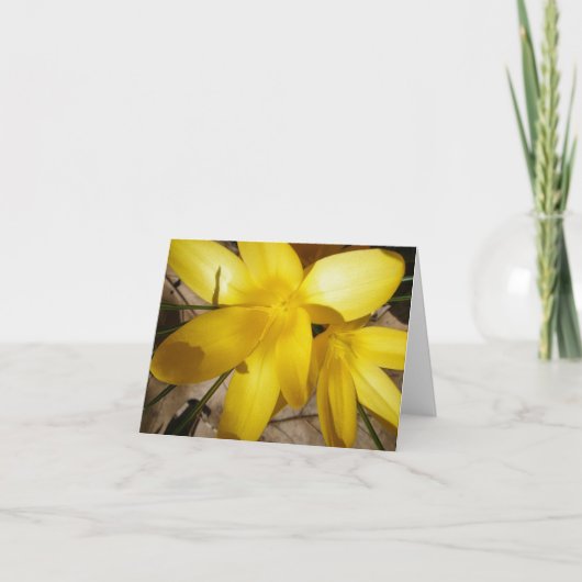 黄色のクロキュースのノートカード シーズンカード (正面)