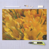 黄色のクロッカスフラバス – 黄金色の花 薄葉紙 (クラフト)