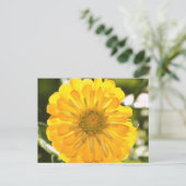 黄色のコスモイエローデイジー、黄色の花はがき ポストカード (スタンド正面)