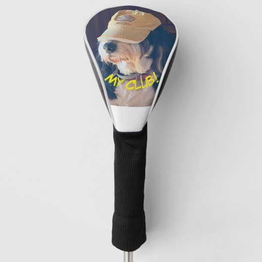 黄色のゴルフハットを着たベルネドードル犬 ゴルフヘッドカバー (正面)