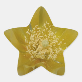 黄色のサボテンの花 星シール