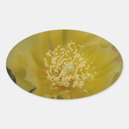 黄色のサボテンの花 楕円形シール