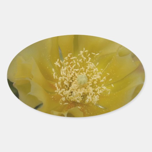 黄色のサボテンの花 楕円形シール (正面)