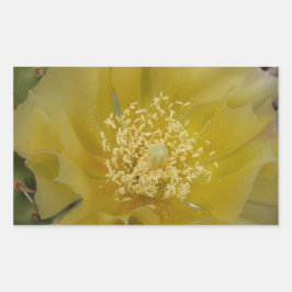 黄色のサボテンの花 長方形シール