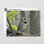 黄色のシャフト型フリッカ調整項目 ポストカード (正面/裏面)