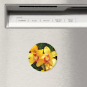 黄色のシンビジウムオーキッド磁石 マグネット (インサイチュ (食洗機))