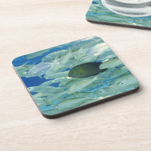 黄色のストライブ柄の金魚を持つ黄色い外科医の魚 コースター (左側)