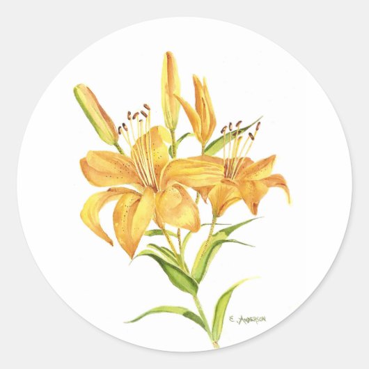 黄色のタイガーユリの水色 ラウンドシール (正面)