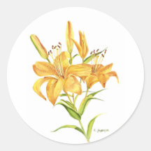 黄色のタイガーユリの水色