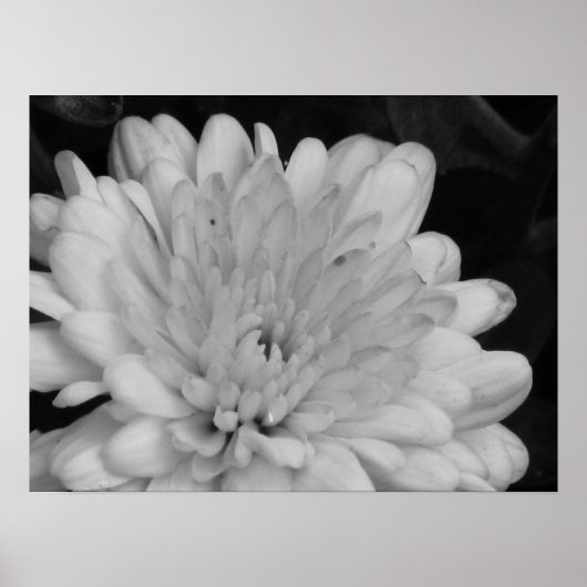 黄色のタム ポスター (正面)