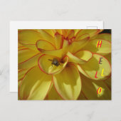 黄色のダリアとピンクの縁どHELLOポストカード ポストカード (正面/裏面)