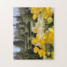 黄色のチューリップからArboretum Volcji Potok Slovenia