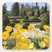 黄色のチューリップからArboretum Volcji Potok Slovenia スクエアペーパーコースター (正面)