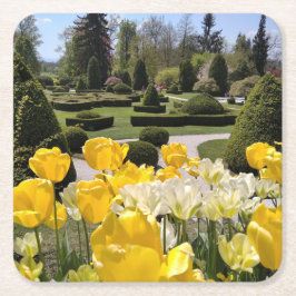 黄色のチューリップからArboretum Volcji Potok Slovenia スクエアペーパーコースター