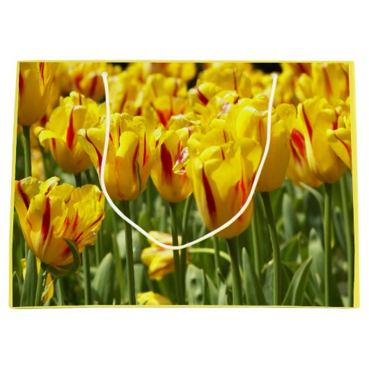 黄色のチューリップと赤いストライプフローラ ラージペーパーバッグ (正面)