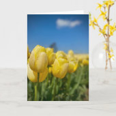 黄色のチューリップカード カード (黄色い花)
