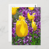 黄色のチューリップポストカード ポストカード (正面/裏面)
