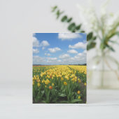 黄色のチューリップ葉書 ポストカード (スタンド正面)