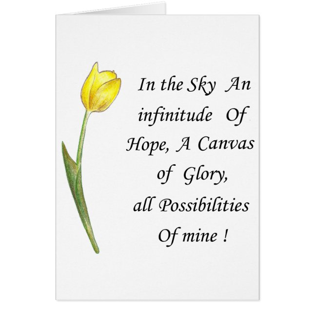 黄色のチューリップ (正面)