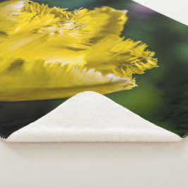 黄色のチューリップ シェルパブランケット