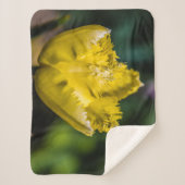 黄色のチューリップ シェルパブランケット (正面)