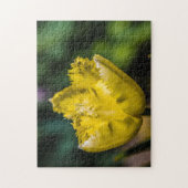 黄色のチューリップ ジグソーパズル (縦)