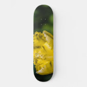 黄色のチューリップ スケートボード (正面)