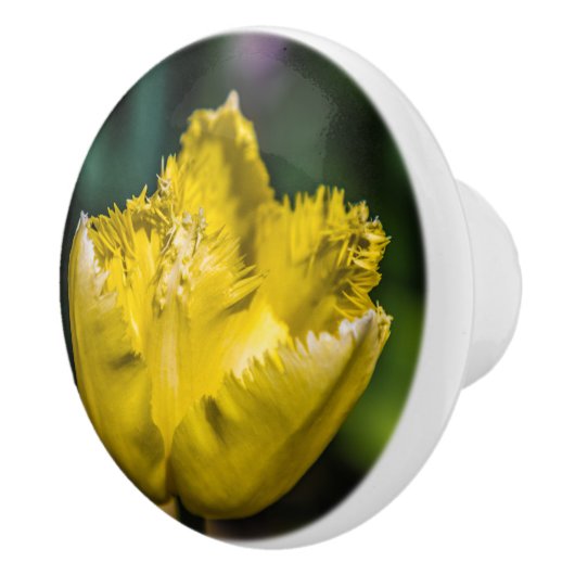 黄色のチューリップ セラミックノブ (右)