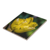 黄色のチューリップ タイル (側面)