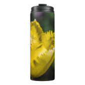 黄色のチューリップ タンブラー (正面)