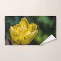 黄色のチューリップ