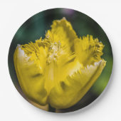 黄色のチューリップ ペーパープレート (正面)
