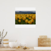 黄色のチューリップ ポスター (キッチン)