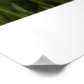 黄色のチューリップ ポスター (角)