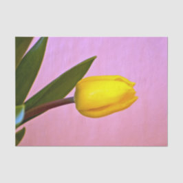 黄色のチューリップ、緑離れの、ピンク 薄葉紙