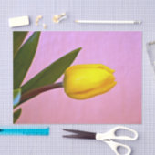 黄色のチューリップ、緑離れの、ピンク 薄葉紙 (クラフト)