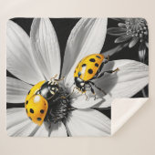 黄色のテンポウムシのカブトムシ白黒花 シェルパブランケット (正面(横))