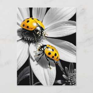 黄色のテンポウムシのカブトムシ白黒花 ポストカード