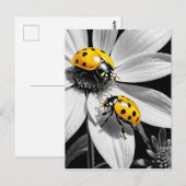 黄色のテンポウムシのカブトムシ白黒花 ポストカード (正面/裏面)