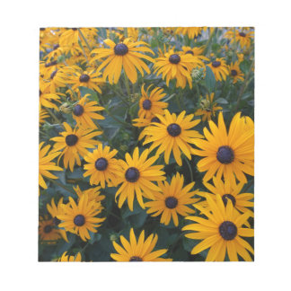 黄色のデイジーの庭の花。 ノートパッド