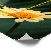 黄色のデイジーの花枠の写真の追加 ポスター (角)