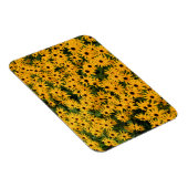 黄色のデイジー畑 – 花 – 磁石 (右側)