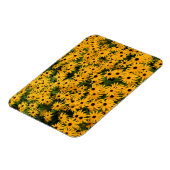 黄色のデイジー畑 – 花 – 磁石 (左側)