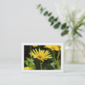 黄色のデイジー縁ど() 名刺 (スタンド正面)