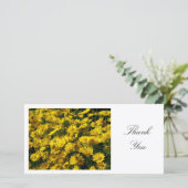 黄色のデイジー – ありがとう サンキューカード (スタンド正面)