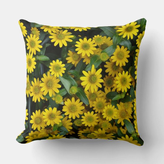 黄色のデイジー クッション (正面)