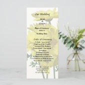 黄色のデイジー プログラム (スタンド正面)